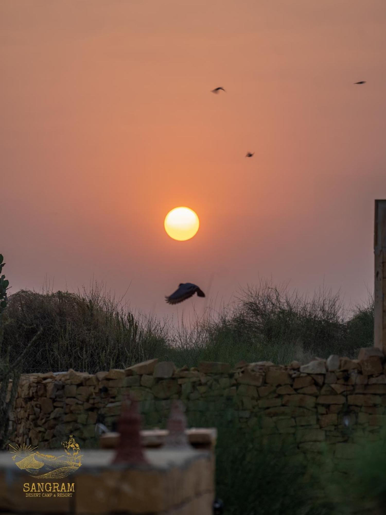 Sangram Desert Camp Jaisalmer Esterno foto
